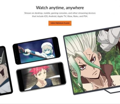 Buy Crunchyroll Premium Subscription - 3 months at $10.76 from   online store