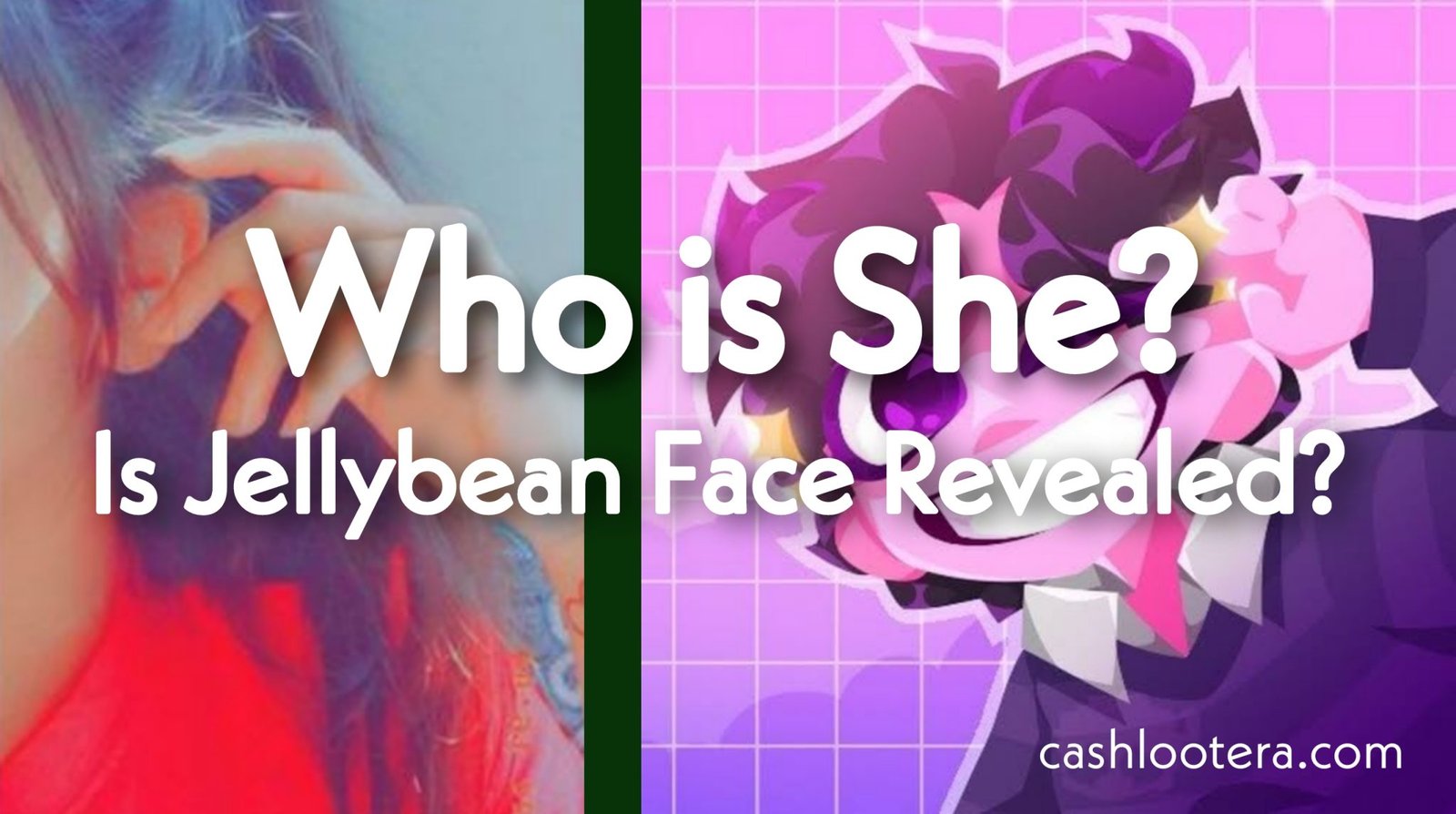 Is Jelly Bean Face Revealed? Minecraft Jellybean Leaked Video